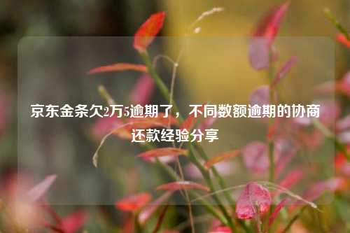 京东金条欠2万5逾期了，不同数额逾期的协商还款经验分享