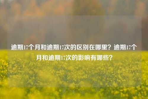 逾期17个月和逾期17次的区别在哪里？逾期17个月和逾期17次的影响有哪些？