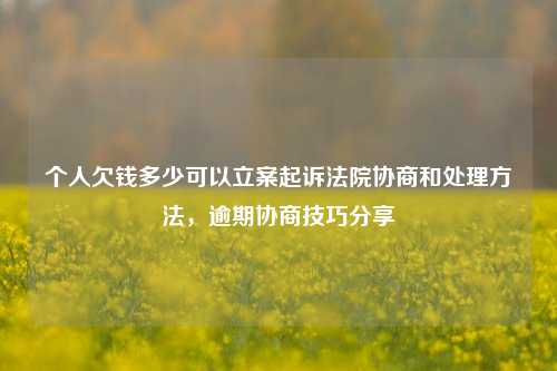 个人欠钱多少可以立案起诉法院协商和处理方法，逾期协商技巧分享