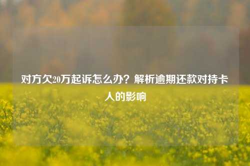 对方欠20万起诉怎么办？解析逾期还款对持卡人的影响