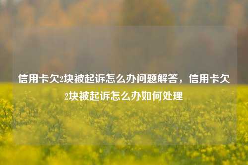 信用卡欠2块被起诉怎么办问题解答，信用卡欠2块被起诉怎么办如何处理