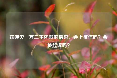 花呗欠一万二不还款的后果，会上征信吗？会被起诉吗？