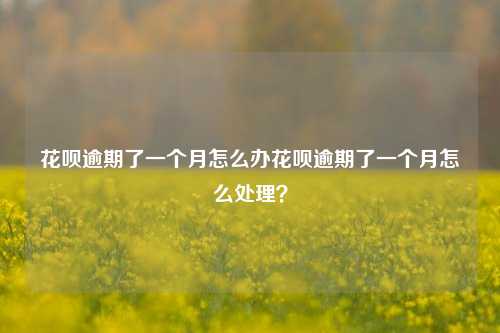 花呗逾期了一个月怎么办花呗逾期了一个月怎么处理？