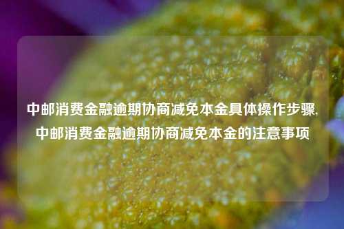 中邮消费金融逾期协商减免本金具体操作步骤,中邮消费金融逾期协商减免本金的注意事项