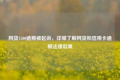 网贷1500逾期被起诉，详细了解网贷和信用卡逾期法律后果