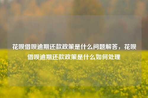 花呗借呗逾期还款政策是什么问题解答，花呗借呗逾期还款政策是什么如何处理