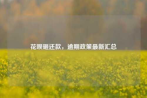 花呗砸还款，逾期政策最新汇总