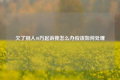 欠了别人40万起诉我怎么办应该如何处理