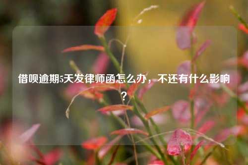 借呗逾期5天发律师函怎么办，不还有什么影响？