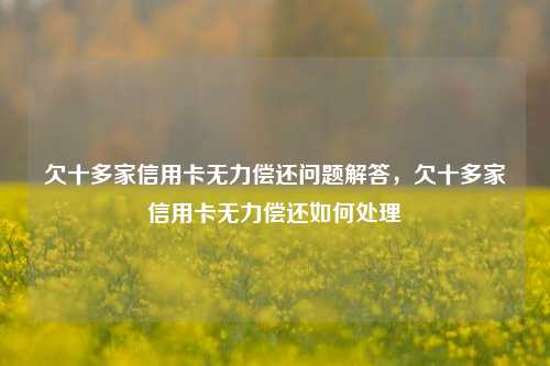 欠十多家信用卡无力偿还问题解答，欠十多家信用卡无力偿还如何处理