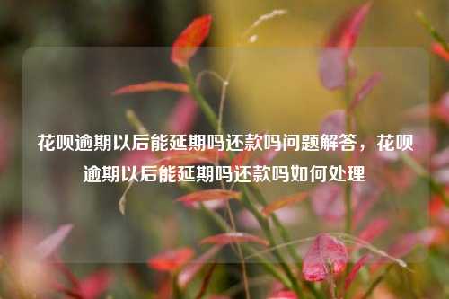 花呗逾期以后能延期吗还款吗问题解答，花呗逾期以后能延期吗还款吗如何处理