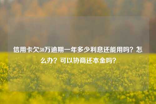 信用卡欠30万逾期一年多少利息还能用吗？怎么办？可以协商还本金吗？