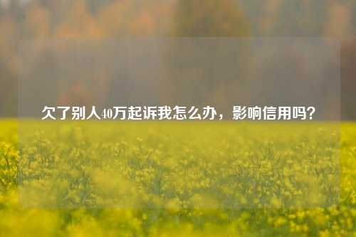 欠了别人40万起诉我怎么办，影响信用吗？