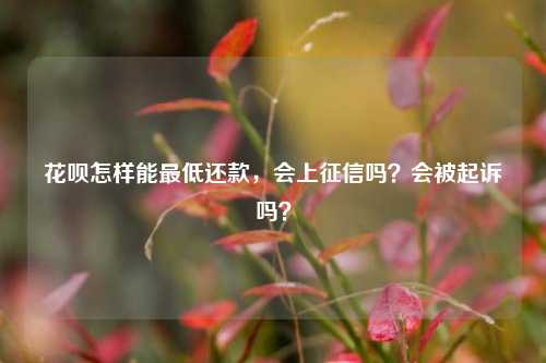 花呗怎样能最低还款，会上征信吗？会被起诉吗？