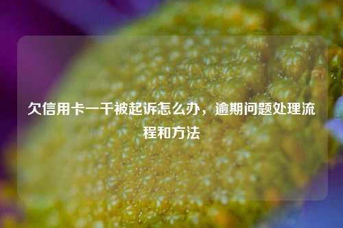 欠信用卡一千被起诉怎么办，逾期问题处理流程和方法