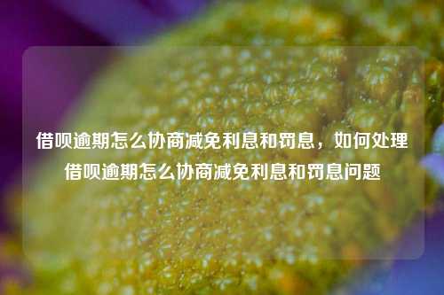 借呗逾期怎么协商减免利息和罚息，如何处理借呗逾期怎么协商减免利息和罚息问题