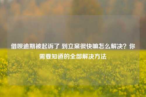 借呗逾期被起诉了 到立案很快嘛怎么解决？你需要知道的全部解决方法