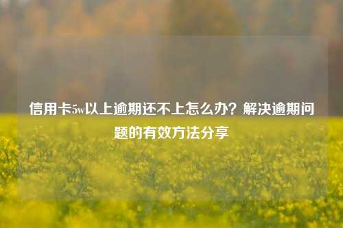 信用卡5w以上逾期还不上怎么办？解决逾期问题的有效方法分享