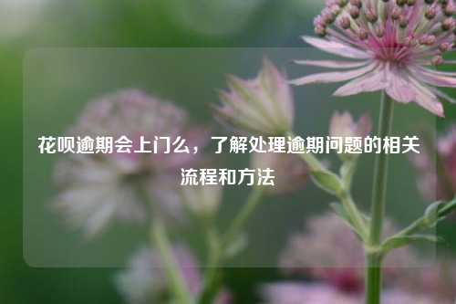 花呗逾期会上门么，了解处理逾期问题的相关流程和方法