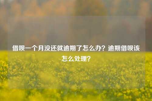 借呗一个月没还就逾期了怎么办？逾期借呗该怎么处理？