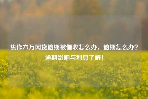 焦作六万网贷逾期被催收怎么办，逾期怎么办？逾期影响与利息了解！