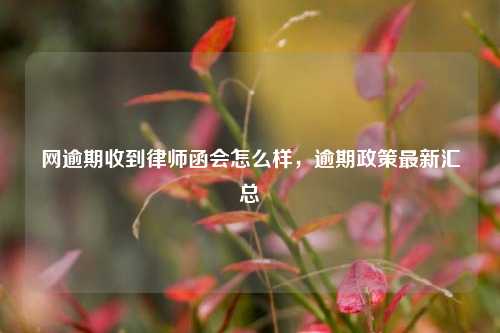 网逾期收到律师函会怎么样，逾期政策最新汇总