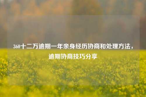 360十二万逾期一年亲身经历协商和处理方法，逾期协商技巧分享