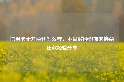 信用卡无力偿还怎么样，不同数额逾期的协商还款经验分享