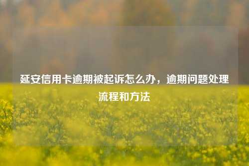 延安信用卡逾期被起诉怎么办，逾期问题处理流程和方法