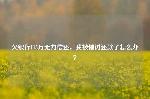 欠银行115万无力偿还，我被催讨还款了怎么办？