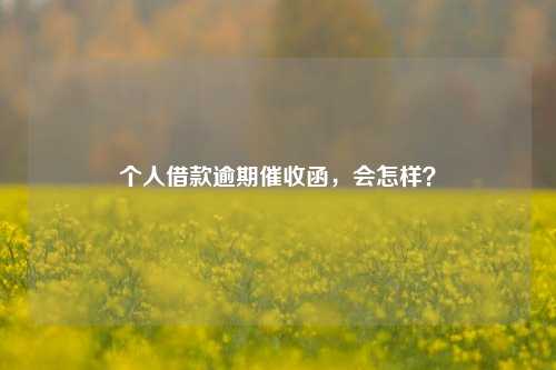 个人借款逾期催收函，会怎样？