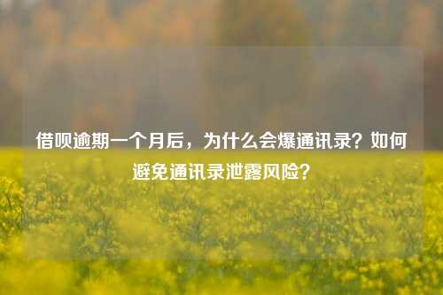 借呗逾期一个月后，为什么会爆通讯录？如何避免通讯录泄露风险？