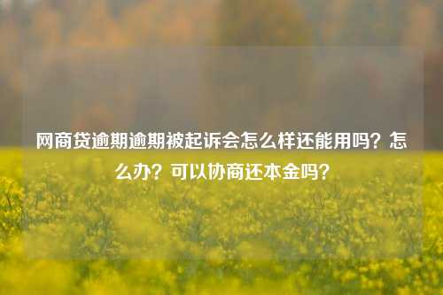 网商贷逾期逾期被起诉会怎么样还能用吗？怎么办？可以协商还本金吗？