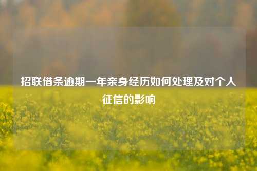 招联借条逾期一年亲身经历如何处理及对个人征信的影响