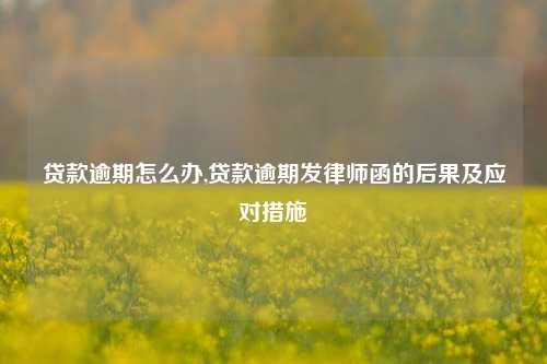 贷款逾期怎么办,贷款逾期发律师函的后果及应对措施