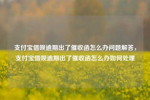 支付宝借呗逾期出了催收函怎么办问题解答，支付宝借呗逾期出了催收函怎么办如何处理