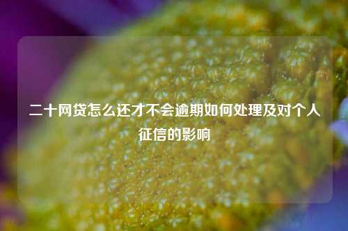 二十网贷怎么还才不会逾期如何处理及对个人征信的影响