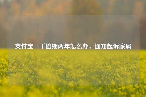 支付宝一千逾期两年怎么办，通知起诉家属