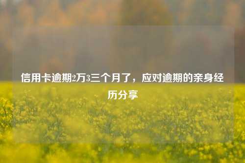 信用卡逾期2万3三个月了，应对逾期的亲身经历分享