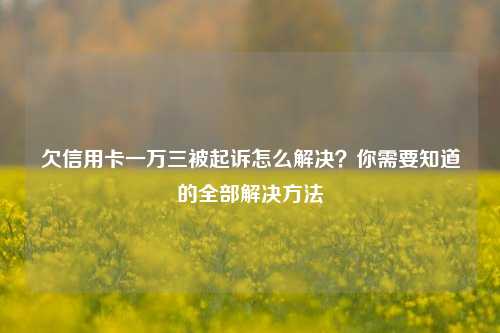 欠信用卡一万三被起诉怎么解决？你需要知道的全部解决方法