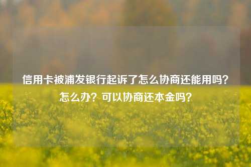 信用卡被浦发银行起诉了怎么协商还能用吗？怎么办？可以协商还本金吗？