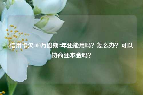 信用卡欠100万逾期2年还能用吗？怎么办？可以协商还本金吗？