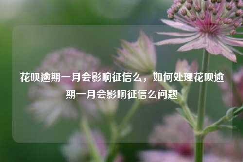 花呗逾期一月会影响征信么，如何处理花呗逾期一月会影响征信么问题