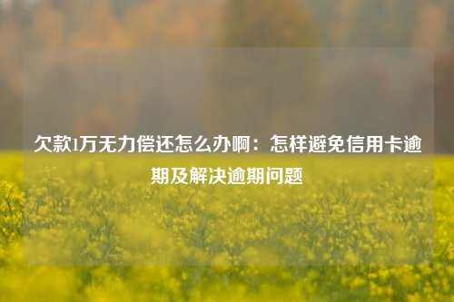 欠款1万无力偿还怎么办啊：怎样避免信用卡逾期及解决逾期问题