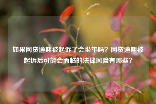 如果网贷逾期被起诉了会坐牢吗？网贷逾期被起诉后可能会面临的法律风险有哪些？