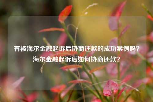 有被海尔金融起诉后协商还款的成功案例吗？海尔金融起诉后如何协商还款？