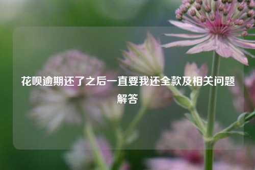 花呗逾期还了之后一直要我还全款及相关问题解答