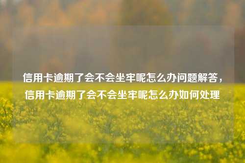 信用卡逾期了会不会坐牢呢怎么办问题解答，信用卡逾期了会不会坐牢呢怎么办如何处理