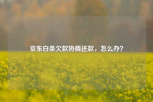 京东白条欠款协商还款，怎么办？