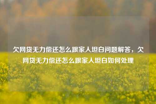 欠网贷无力偿还怎么跟家人坦白问题解答，欠网贷无力偿还怎么跟家人坦白如何处理